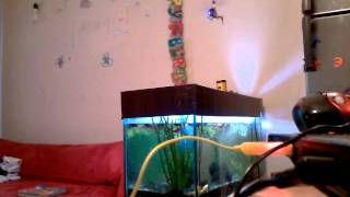 VIDEO0758