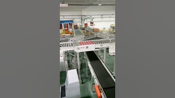 Automatic carton box transition customized conveyor system for carton box palletizing machine