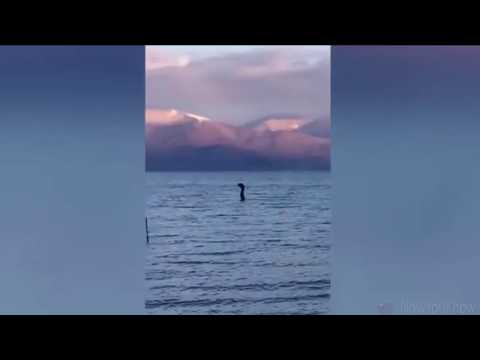 Video: Loch Ness Monster In Albanien Aufgenommen - Alternative Ansicht