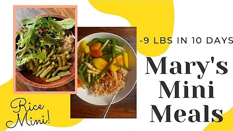 MARY'S MINI MEAL IDEAS | 10 DAY RICE MINI DIET