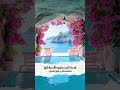 فساد البنت يشوه الأسرة كلها الشيخ العلامة صالح بن فوزان بن عبد الله الفوزان فساد البنت يشوه الأسرة كلها الشيخ العلامة صالح بن فوزان بن عبد الله الفوزان