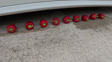 Crushing Crunchy & Soft Things by Car! - Most Satisfying Car Crushing Video Ever