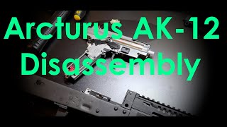 Arcturus AK-12 Disassembly (4K)