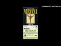 Nirvana - Pennyroyal Tea (Last Live Version)