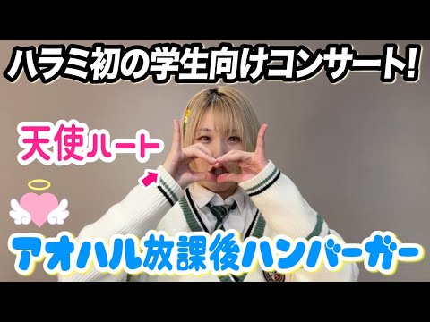【アオハル】ハラミちゃん学生向けコンサートが盛り上がりすぎた!!