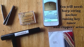 How to Change a Harp String