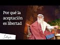 Por qué la aceptación es libertad │Sadhguru