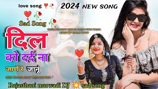 दिल को दर्द ना जाणे रे  जानूं !! Dill ko Dard Na Jaane !!Sad Song 2024 !! new marwadi love song dj!!