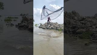 Wow Amazing catch fish from river hole🐠#shorts#castnetfishing#riverhole#catchfish#amazing#hugefish
