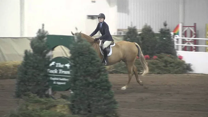 Jill Donaldson (2) at Queenie Horse Show, Jan 9, 2...