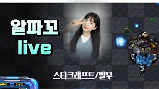 [ 알파꼬 생방송 Live ] 스타 빨무 팀플