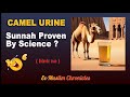 Camel urine  sunnah proven by science