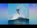 "Nothing is as GNARLY as that!" 🏄🏼‍♂️ 🌊 | Kolohe Andino on his baby and his chances for Paris 2024