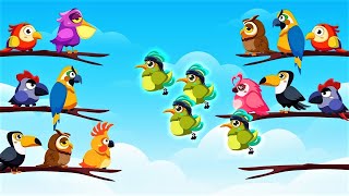 🐦 Bird Color Sort Puzzle 🦤 GAMEPLAY Levels 1-7 (Android, iOS) screenshot 4