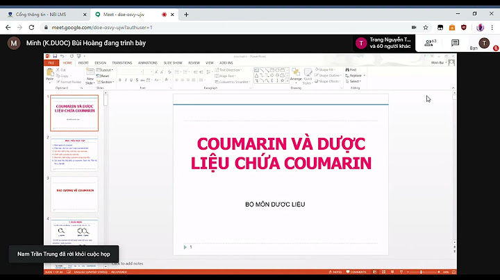 Coumarin có tác dụng oestrogen có trong thực vật nào