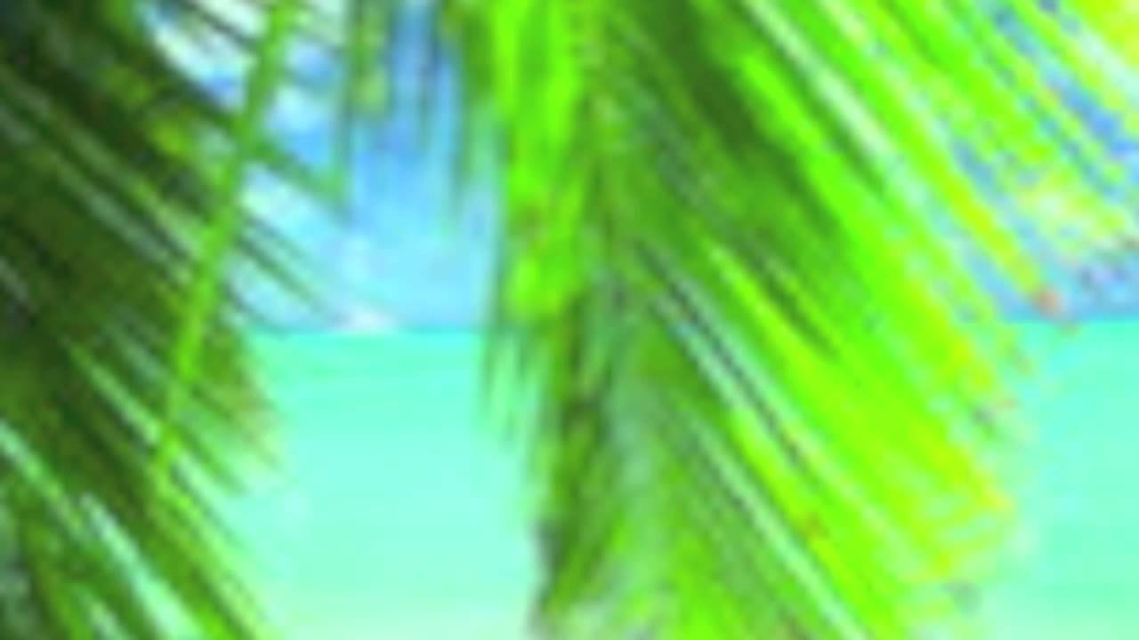 ANSYTO di ou pa la