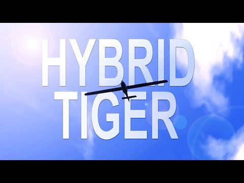 Hybrid Tiger