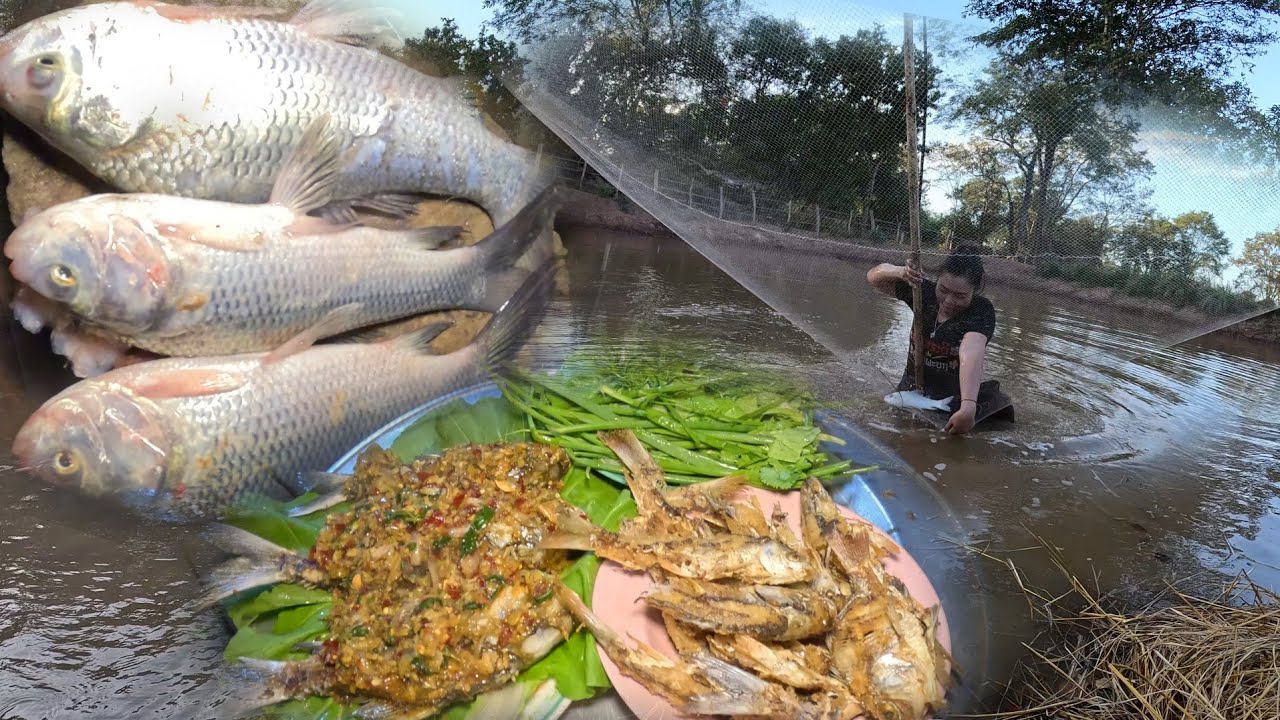 25 ธันวาคม ค.ศ. 2025 วันนี้ หาปลา สนุกมาก ทําปลาราดพริก