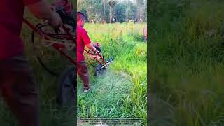 Grass Cutting Machine That Handles Thick Growth Fast