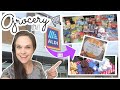 Spring Break Grocery Day! | New items at Aldi | Shop with me & HAUL