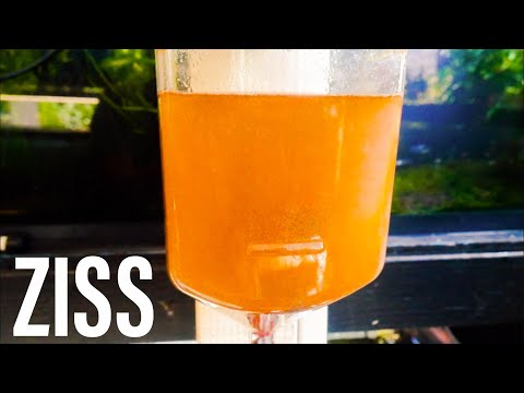 Ziss Brine Shrimp