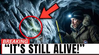 Scientists Found Massive Claw Marks in a Siberian Cave — And It's Still Alive