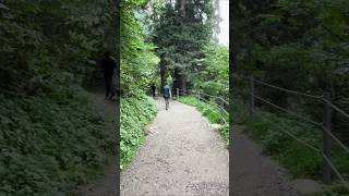 Pipeline Track | Ayubia National Park | Nathia Gali #murree #vlog  #shots #shorts #short #fyp #viral