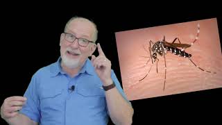 SHORTCLIPS “WHY DID GOD MAKE MOSQUITOS?”