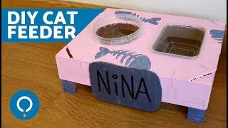 DIY Cat Food Bowl 😺 Crafts for Cats