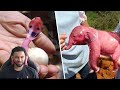 This Is What Newborn Animals Look Like REACTION