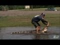 Gators Take Over Flooded Field | Gator Boys