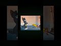 Tom and jerry comedy #shorts #comedy