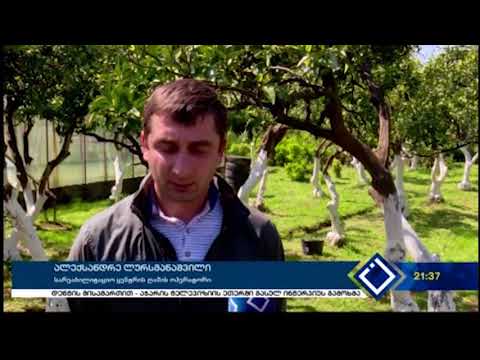 საქართველოს კარიტასმა ქ. ბათუმში ალკოჰოლზე დამოკიდებულთა სარეაბილიტაციო ცენტრი გახსნა