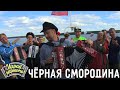 Чёрная смородина | Антон Грибанов (г. Томск) | Играй, гармонь!