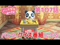 あつ森アニメ パンダ家族の日常 第107話 パンタ クイズ番組にでる あつ森アニメ パンダ家族の日常 第107話 パンタ クイズ番組にでる