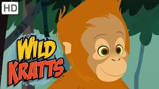 Wild Kratts  Swinging with the Monkeys | Kids Videos