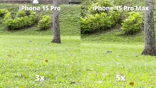 iPhone 15 Pro vs iPhone 15 Pro Max 4k/60fps_Zoom test in Day
