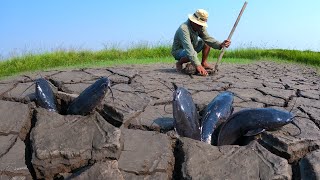 BEST HAND FISHING - catch a lots of catfish in under the ground now dry season by hand a fisherman