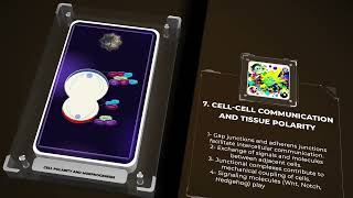 Cell Biology - Cell Polarity and Morphogenesis