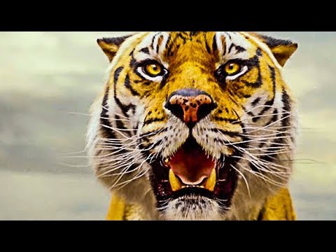 Life Of Pi - Official Trailer (Hd)