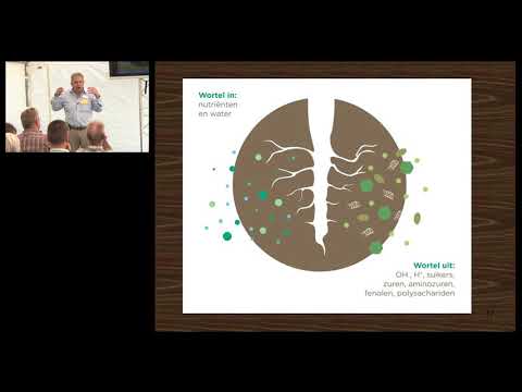 Rol en functie van Mycorrhiza schimmels