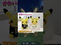 【ポケモンSV】中川翔子さんウエディングピカチュウをもらう #Shorts
