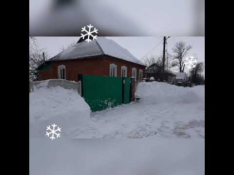 'Дорога додому' #миколаянченко