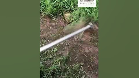 Bát cắt cỏ cước Trụ kim loại  - Máy nông nghiệp Đông Phong