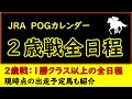 【競馬】2歳戦全日程のカレンダー 現時点の出走予定馬も紹介 POGにも役立ちます