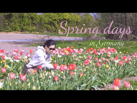 Vlog #5 | Tôi Không Ngờ Nơi Mình Sống Lại Đẹp Đến Thế – Mùa Xuân Ở Đức 🌷