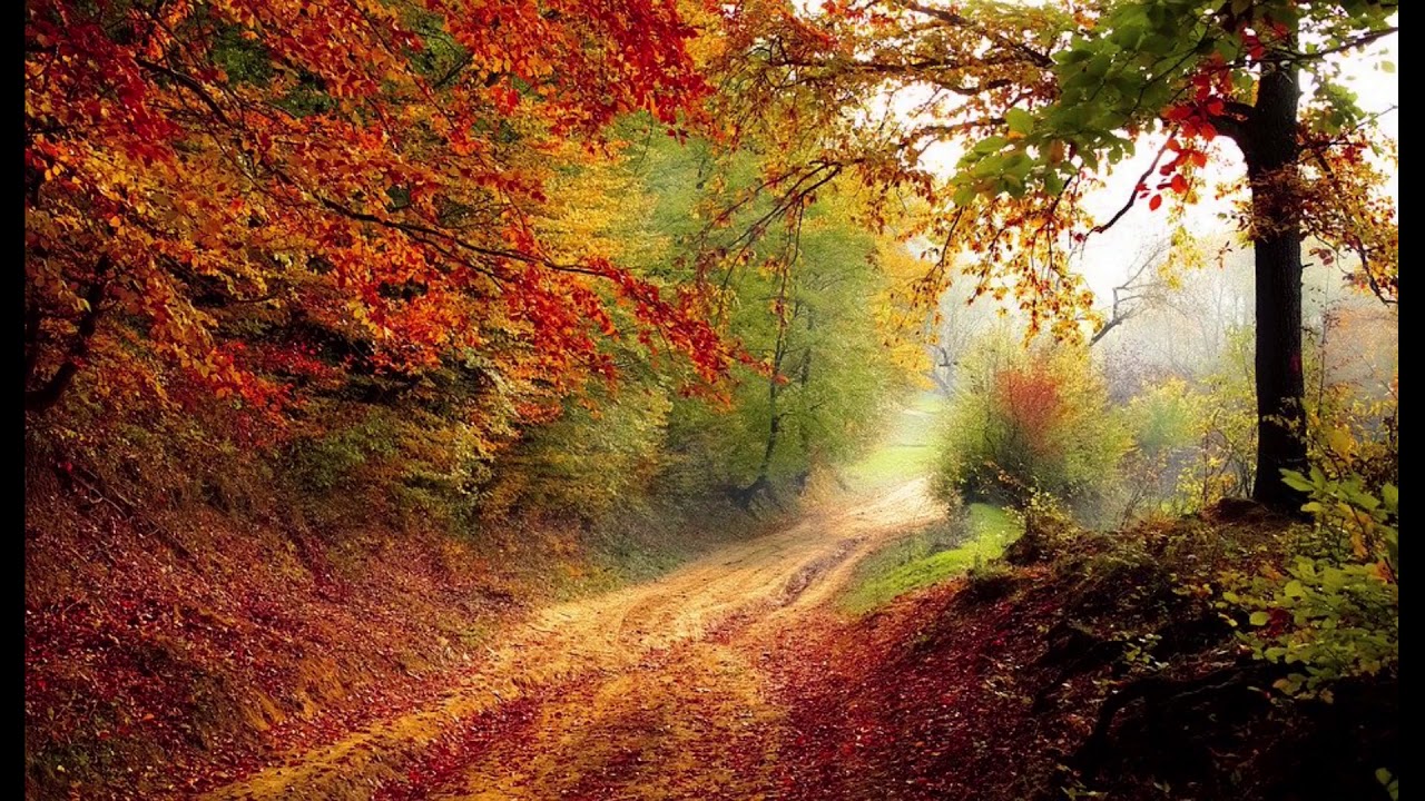 Relax , and enjoy nature's background,meditate, study, yoga practice , deep sleep music, 30 mins