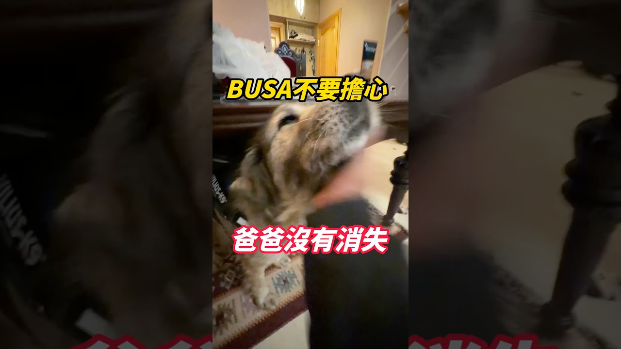 喬治亞Ep18 爸爸沒有消失 不要擔心❤️ 縮圖