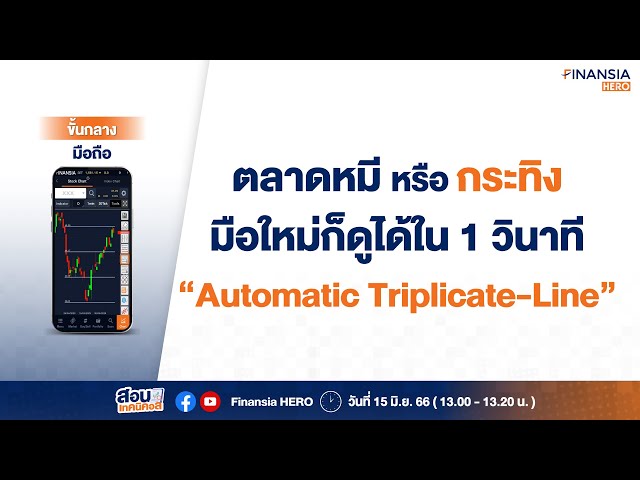 👩‍💻ตลาดหมีหรือกระทิง? มือใหม่ก็ดูได้ใน 1 วินาที ด้วย "Automatic Triplicate-Line"