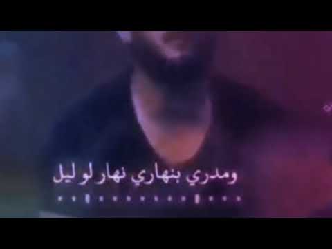 ستوري رحت للشريعه ملاكيه الخيل
